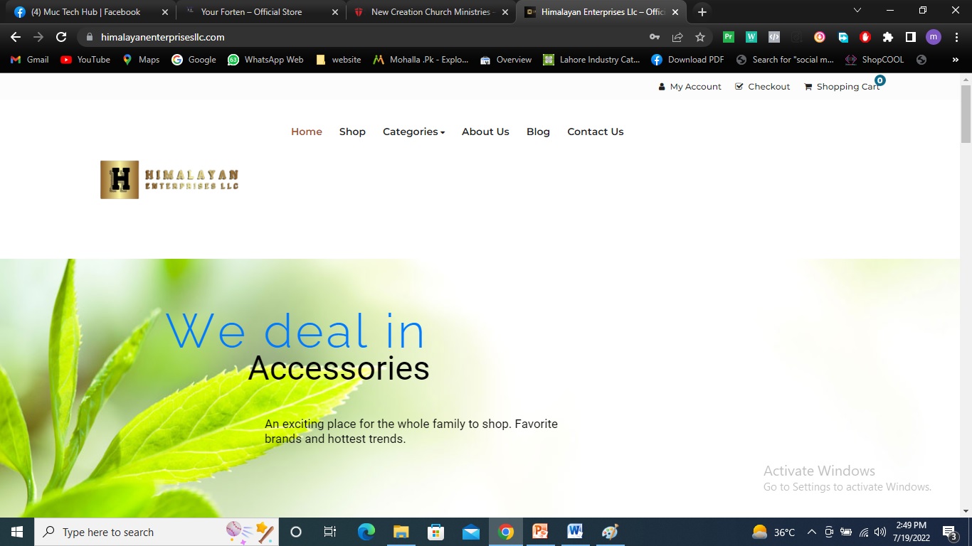 himalaysian client logo