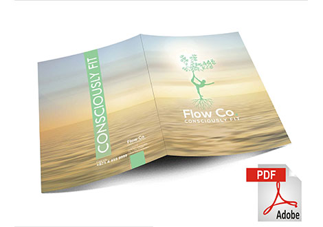 https://www.linksadvertising.com.pk/public/upload/projects/63524_flow-co.jpg
